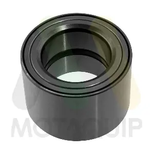 LVBW1127 MOTAQUIP