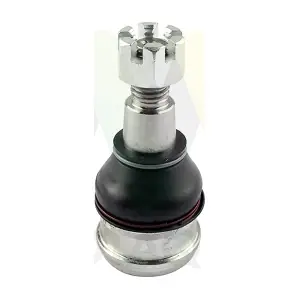 LVSJ1219 MOTAQUIP