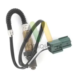 LVOS1563 MOTAQUIP