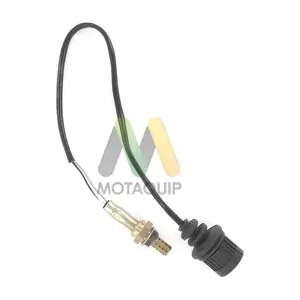 LVOS1353 MOTAQUIP
