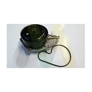 LVWP1054 MOTAQUIP