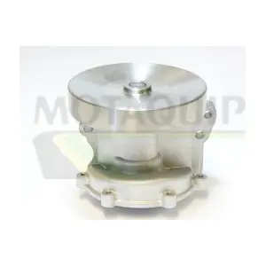 MOTAQUIP VWP810