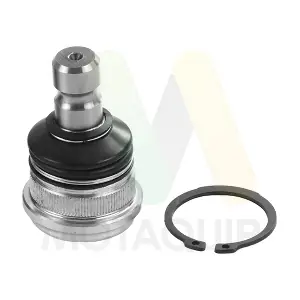 LVSJ1279 MOTAQUIP