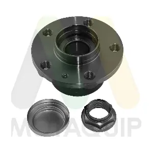 LVBW1077 MOTAQUIP