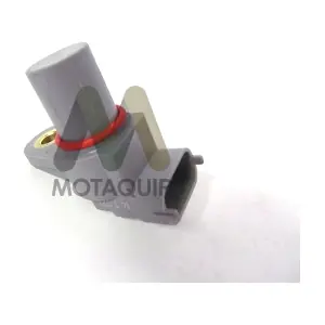 LVCP318 MOTAQUIP