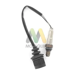 LVOS1818 MOTAQUIP