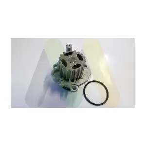 MOTAQUIP LVWP1062