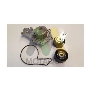 LVTTP100 MOTAQUIP