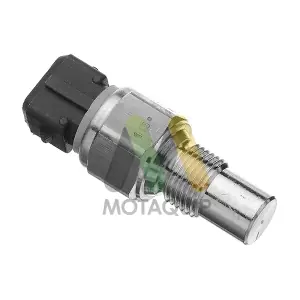 LVCT363 MOTAQUIP