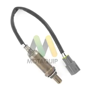 LVOS1659 MOTAQUIP