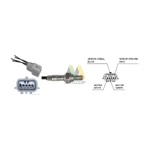 LVOS2025 MOTAQUIP