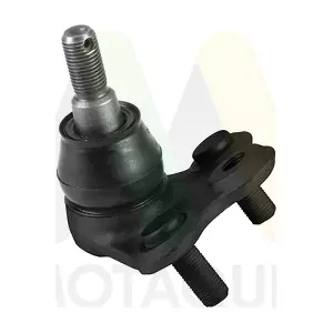 LVSJ1291 MOTAQUIP