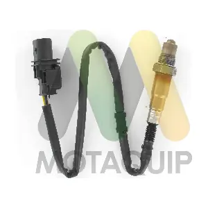 MOTAQUIP LVOS2021