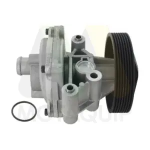 MOTAQUIP LVWP1100