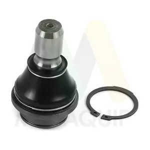 LVSJ1319 MOTAQUIP
