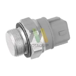 LVRF388 MOTAQUIP