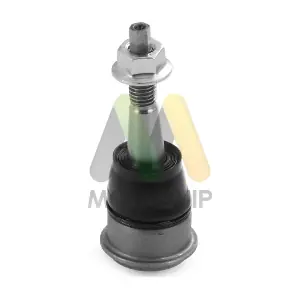 LVSJ1243 MOTAQUIP