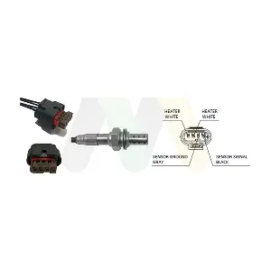 LVOS2054 MOTAQUIP