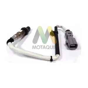 LVOS1819 MOTAQUIP