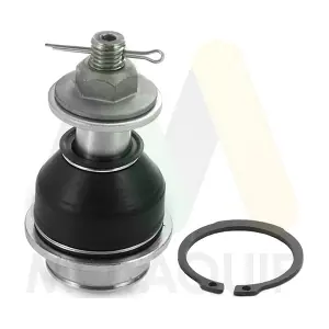 LVSJ1274 MOTAQUIP