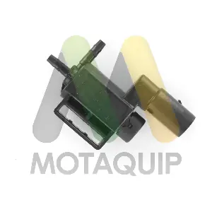 LVEV187 MOTAQUIP