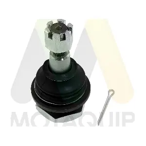 LVSJ1158 MOTAQUIP