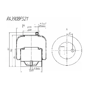 ROSTAR R4390BFS21