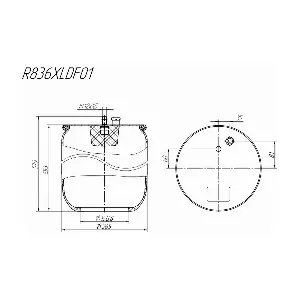 R836XLDF01 ROSTAR