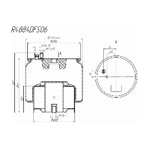 R4884DFS06 ROSTAR