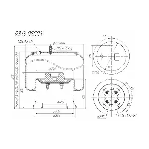 R813DGS03 ROSTAR