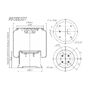 R813DGS07 ROSTAR