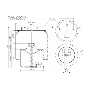 R881DGS30 ROSTAR