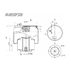 R4883DFS06 ROSTAR