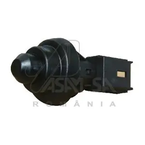 30341 ASAM AUTOMOTIVE