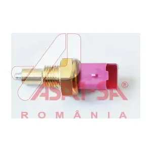 ASAM AUTOMOTIVE 30462