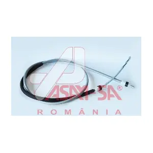 32029 ASAM AUTOMOTIVE