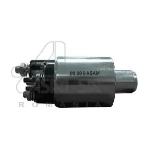 30257 ASAM AUTOMOTIVE