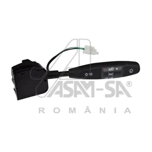 30154 ASAM AUTOMOTIVE