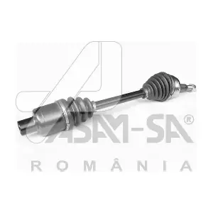 30998 ASAM AUTOMOTIVE