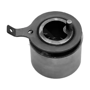 ASAM AUTOMOTIVE 71761