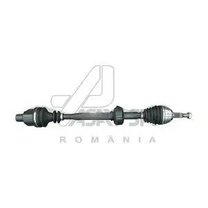 30213 ASAM AUTOMOTIVE