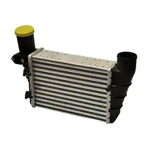 32519 ASAM AUTOMOTIVE