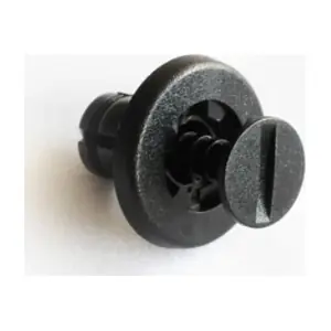 30887 ASAM AUTOMOTIVE