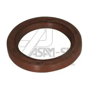 ASAM AUTOMOTIVE 30420