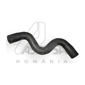 30386 ASAM AUTOMOTIVE