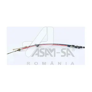 32069 ASAM AUTOMOTIVE
