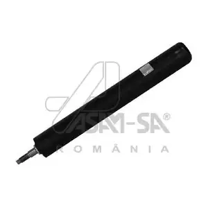 ASAM AUTOMOTIVE 50101