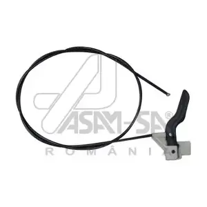 30631 ASAM AUTOMOTIVE