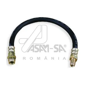 ASAM AUTOMOTIVE 30323