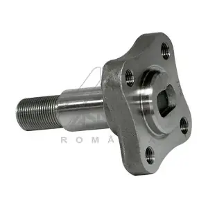 30247 ASAM AUTOMOTIVE
